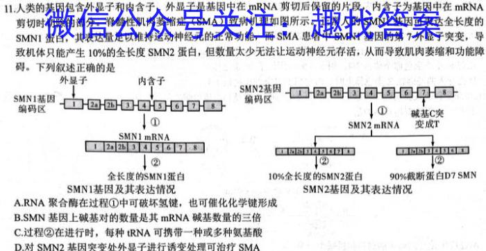 2023年普通高等学校招生全国统一考试仿真模拟卷(一)生物