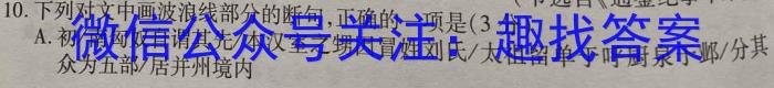 皖智教育 安徽第一卷·百校联盟2023届中考大联考语文