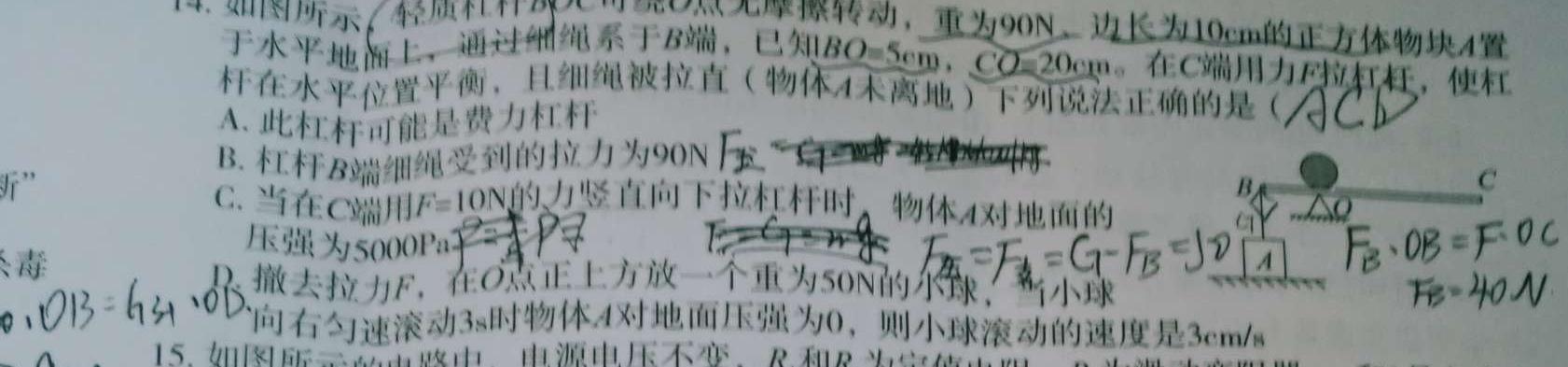 江西省2024届八年级《学业测评》分段训练（六）-物理