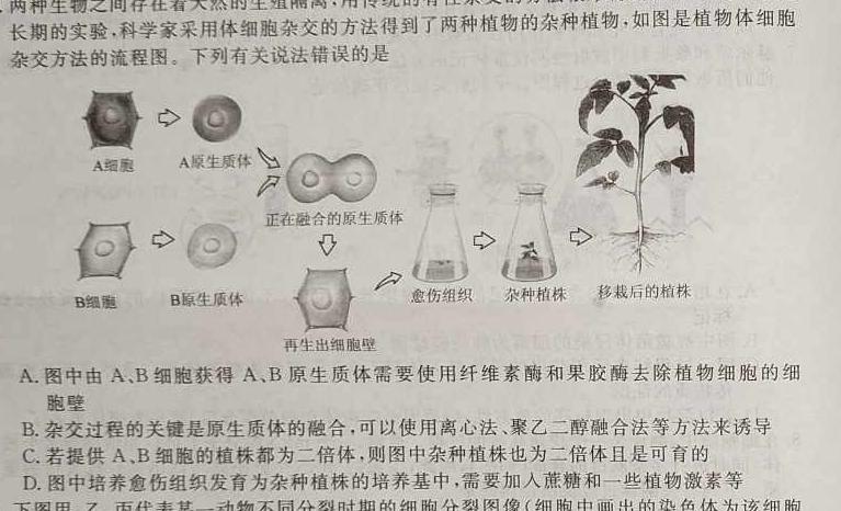 2022~2023学年高二下学期期中联合考试(23-411B)生物