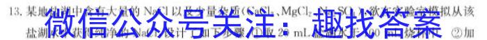 陕西学林教育 2024~2023学年度第二学期七年级期中调研试题(卷)化学