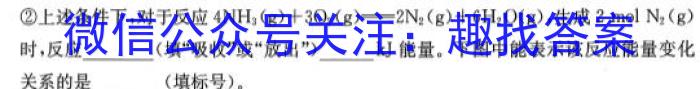 2023届全国普通高等学校招生统一考试 JY高三冲刺卷(二)化学