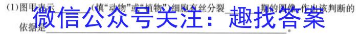 山西省2024-2023学年高一下学期期中联合考试（23-411A）生物