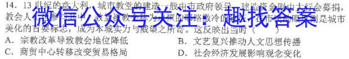 安徽省2022-2023学年度七年级下学期期中综合评估（6LR）历史