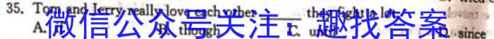 2023合肥市二模高三4月联考英语