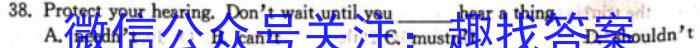 2022-2023学年河南省高二期中考试(23-389B)英语