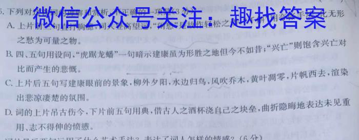 山西省2022-2023学年高一下学期期中联合考试（23-411A）语文