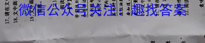 天一大联考 2023届高三年级第三次模拟考试语文