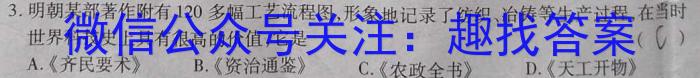 陕西省2023届临潼区、阎良区高三年级模拟考试（4月）历史