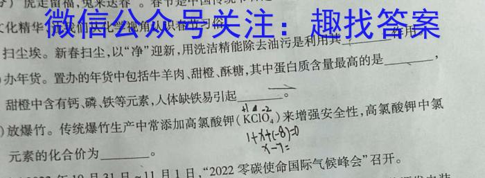 安徽省安庆市桐城市十校联考2024-2023学年九年级下学期选拔考试化学