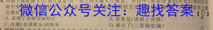 江西省南丰县2023年九年级下学期期中检测历史