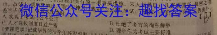 山西省2022-2023学年度八年级下学期期中综合评估（6LR）历史