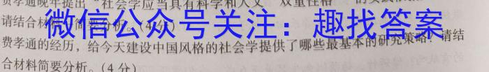 安徽第一卷·2023年中考安徽名校大联考试卷（三）语文