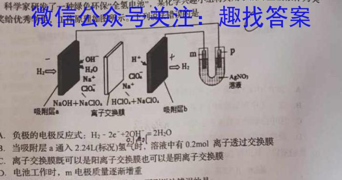 2023年高二年级九师联盟湖北省期中考试化学