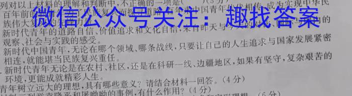 2023届全国普通高等学校招生统一考试(新高考)JY高三终极一考卷(二)语文