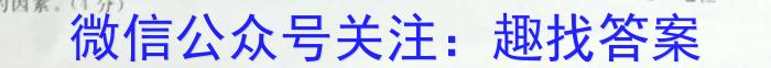 2023届金学导航·信息冲刺卷(五)·D区专用历史