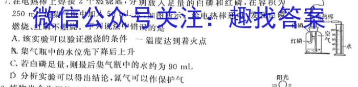 安徽省利辛县2023年九年级4月联考化学