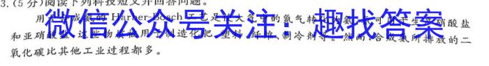 河南省2023年中招九年级适应性测试（二）化学