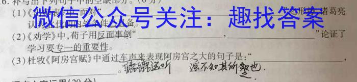 皖智教育 安徽第一卷·百校联盟2023届中考大联考语文