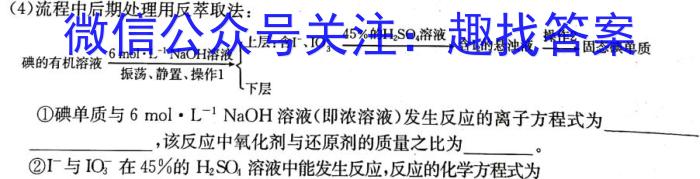 河南省新乡市2022～2023学年高一期中（下）测试(23-391A)化学