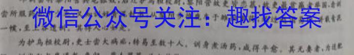 安徽省涡阳县2022-2023学年度九年级第二次质量监测语文