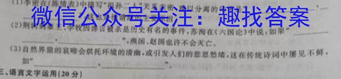 江西省2023-2024学年度初三模拟巩固训练（二）语文
