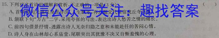 2023年湖北省孝感市高二期中考试语文