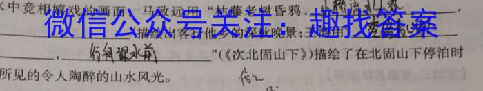 2023年辽宁省普通高等学校招生选择性考试模拟试题（二）语文