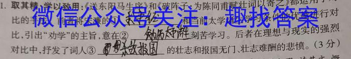 2023年安徽省教育教学联盟大联考·中考密卷(二)2语文