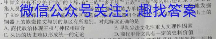 2023年湖北省孝感市高二期中考试历史