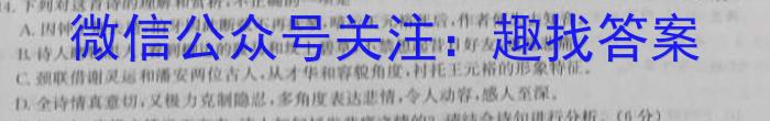 皖智教育·省城名校2023年中考最后三模（一）语文