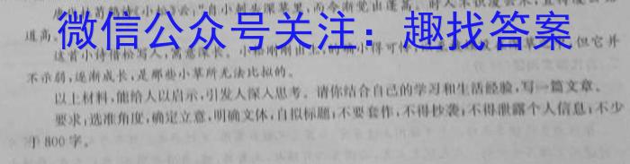 金考卷2023年普通高等学校招生全国统一考试 新高考卷 押题卷(六)语文