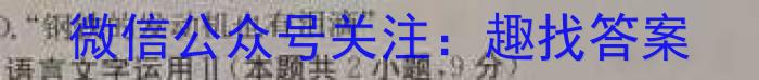 2023年普通高等学校招生全国统一考试·临门一卷(二)语文