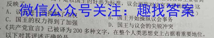 2023届中考导航总复习·模拟·冲刺卷(五)5历史