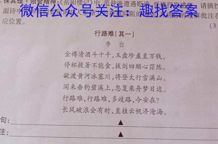 2023年普通高等学校招生全国统一考试 23·JJ·YTCT 金卷·押题猜题(九)语文