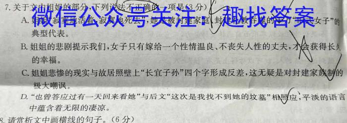 湖南省2023届高三全真模拟适应性考试语文