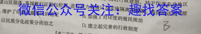 山西省晋中市介休市2022-2023学年第二学期八年级期中质量评估试题（卷）历史