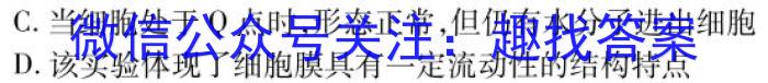 山东省2023年普通高等学校招生全国统一考试测评试题(二)生物