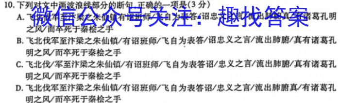 安徽省合肥市庐江县2023届初中毕业班第二次教学质量抽测语文