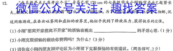 安徽省利辛县2023年九年级4月联考地理.