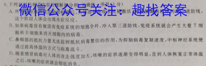 青桐鸣高考冲刺 2023年普通高等学校招生全国统一考试押题卷(四)语文