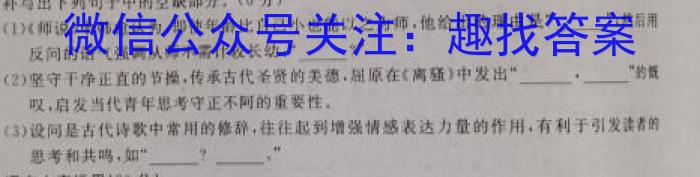 2023届河南省高三高考仿真适应性测试语文