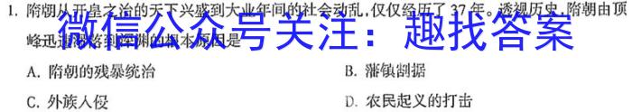 天一大联考皖豫名校联盟体2023届高中毕业班第三次考试历史