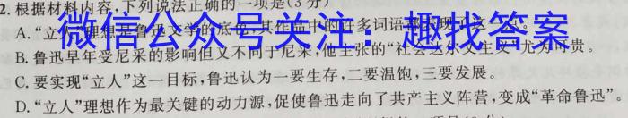 湖北省2022-2023学年度下学期期中新洲区部分学校高中二目标检测语文