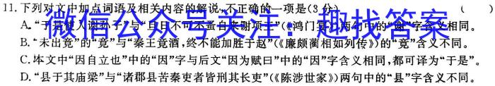 2023届河南省中考适应性检测卷（23-CZ139c）语文