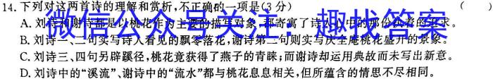2023届普通高校招生全国统一考试·NT精准考点检测重组卷(全国卷)(二)语文