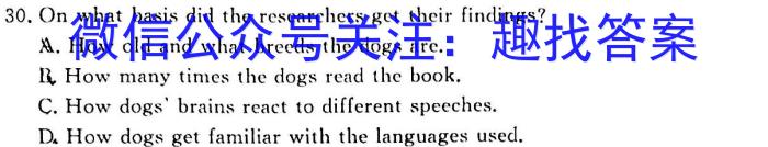 安徽省2022-2023学年度九年级阶段诊断【R- PGZX F- AH（六）】英语