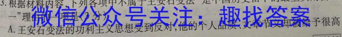 华普教育 2023全国名校高考模拟冲刺卷(三)语文