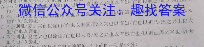 2023年普通高等学校招生全国统一考试猜题密卷(新高考)(三)语文