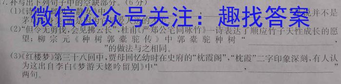 文博志鸿 2023年河北省初中毕业生升学文化课模拟考试(预测二)语文